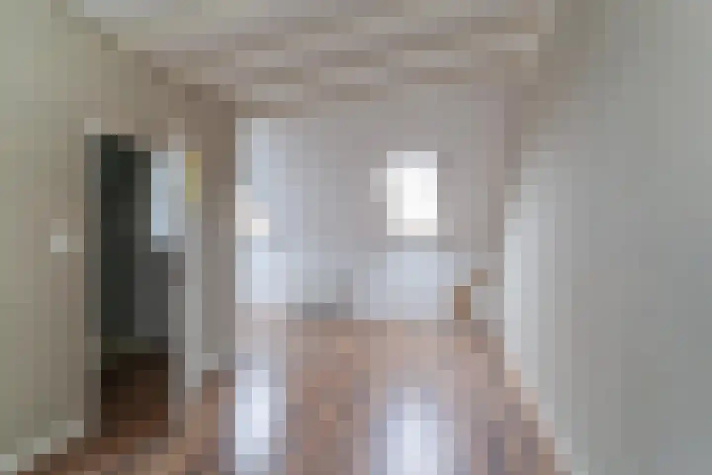 Vriesschestraat 22 Duiven thumbnail 18