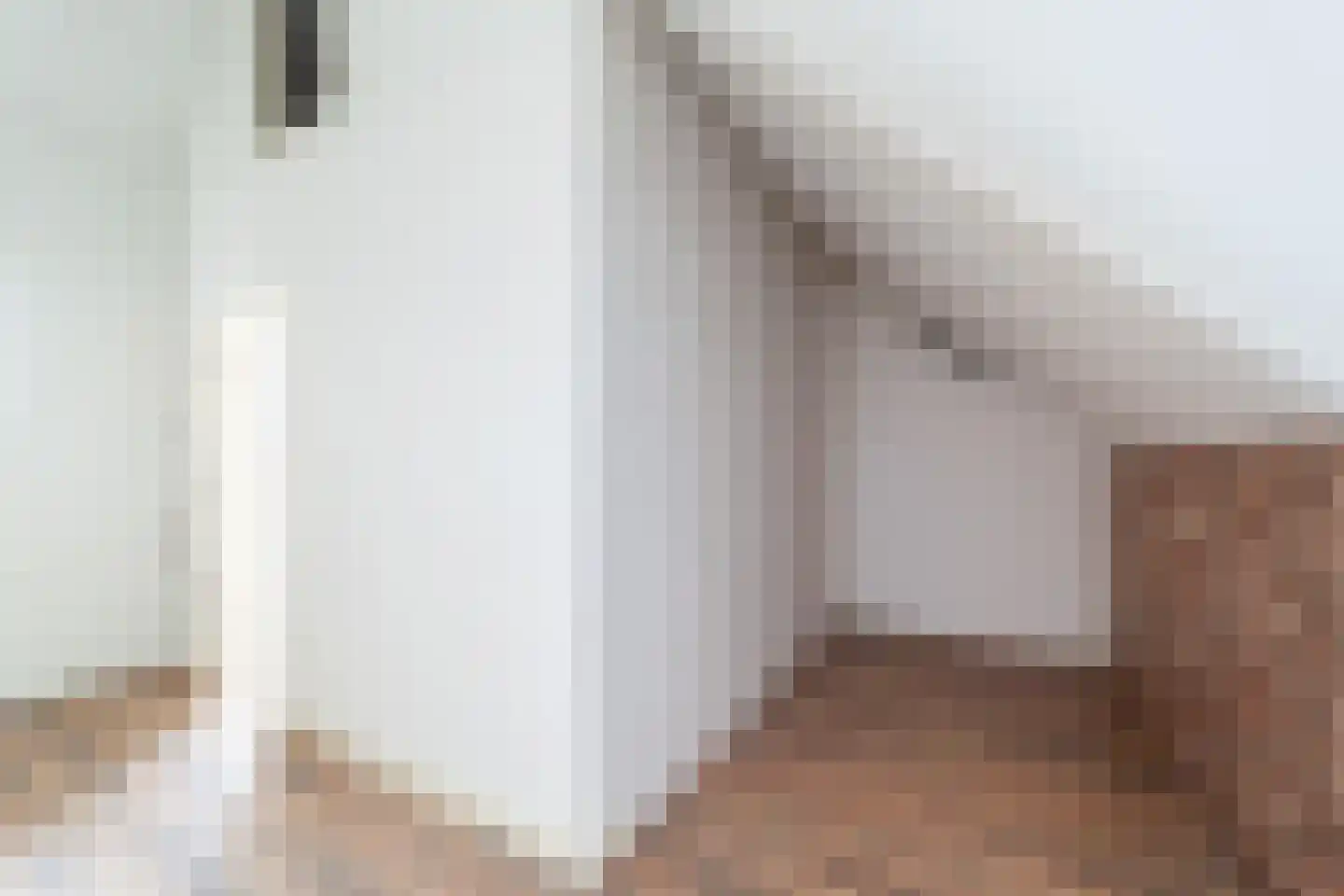 Vriesschestraat 22 Duiven thumbnail 20