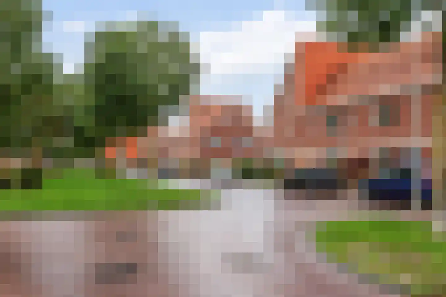 Vriesschestraat 22 Duiven thumbnail 22