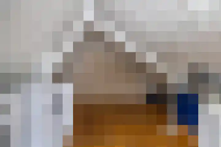 Vriesschestraat 22 Duiven thumbnail 4