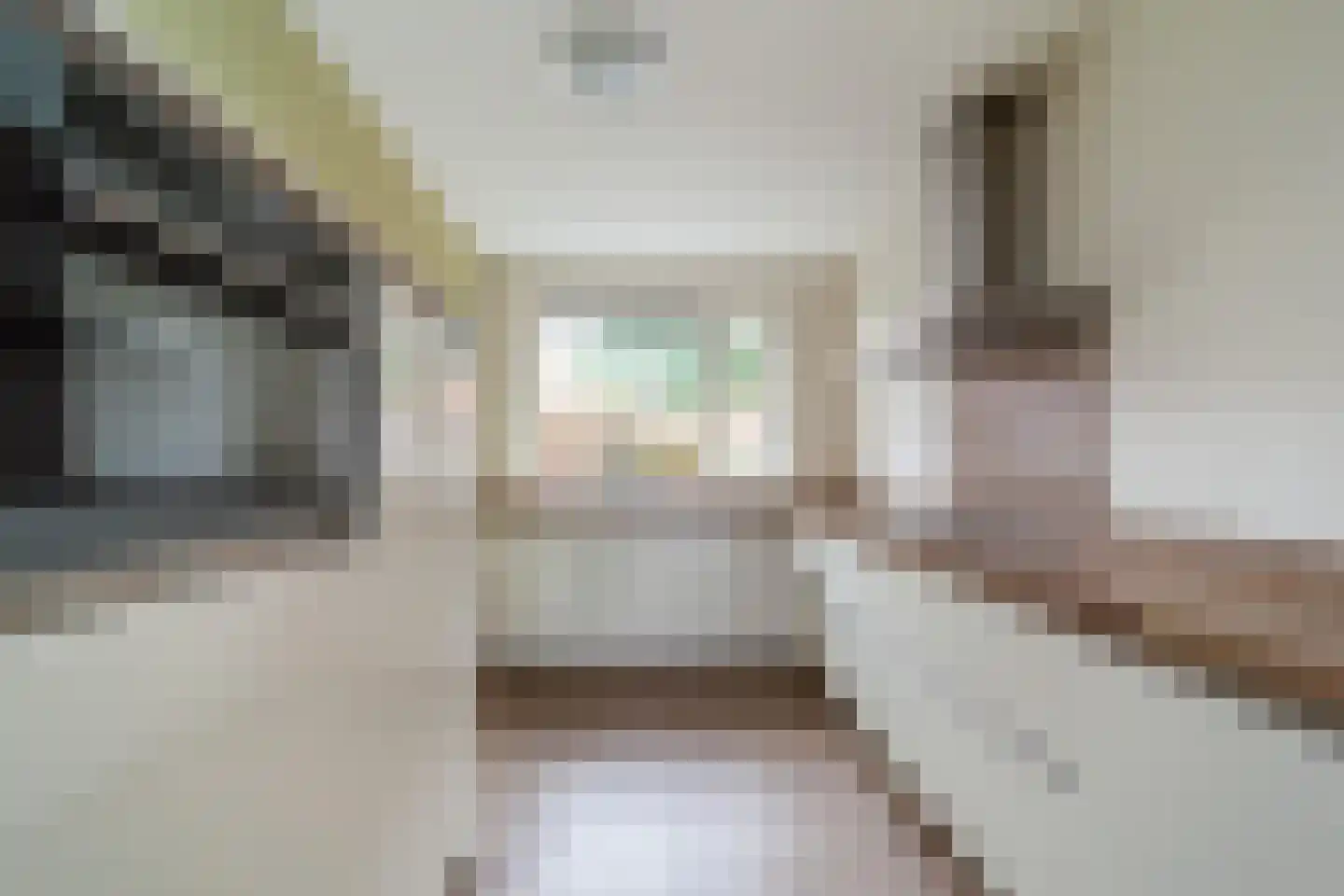 Vriesschestraat 22 Duiven thumbnail 6