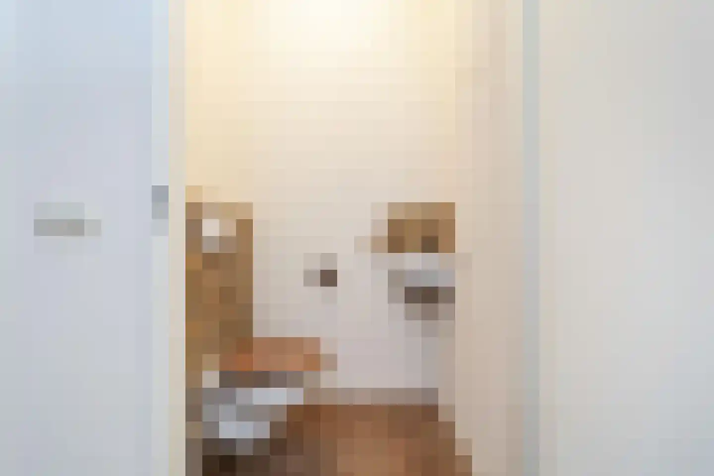 Vriesschestraat 22 Duiven thumbnail 7