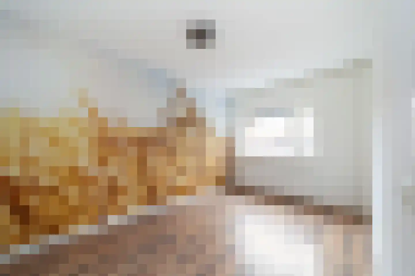 Vriesschestraat 22 Duiven thumbnail 9