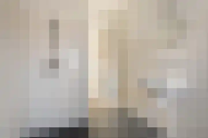 Vriesschestraat 31 Duiven thumbnail 10