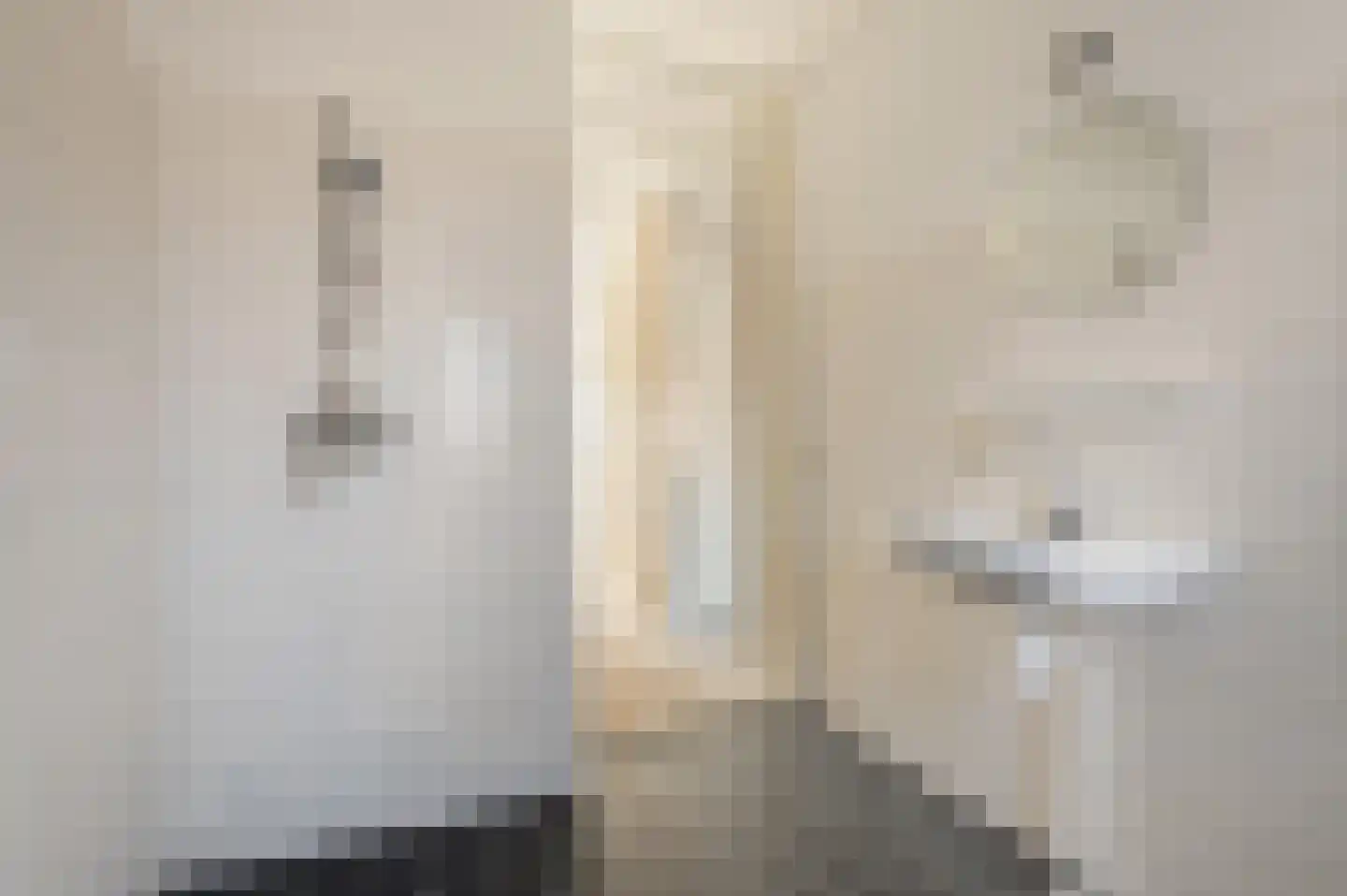 Vriesschestraat 31 Duiven thumbnail 10