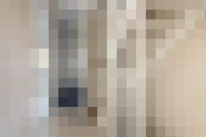 Vriesschestraat 31 Duiven thumbnail 12