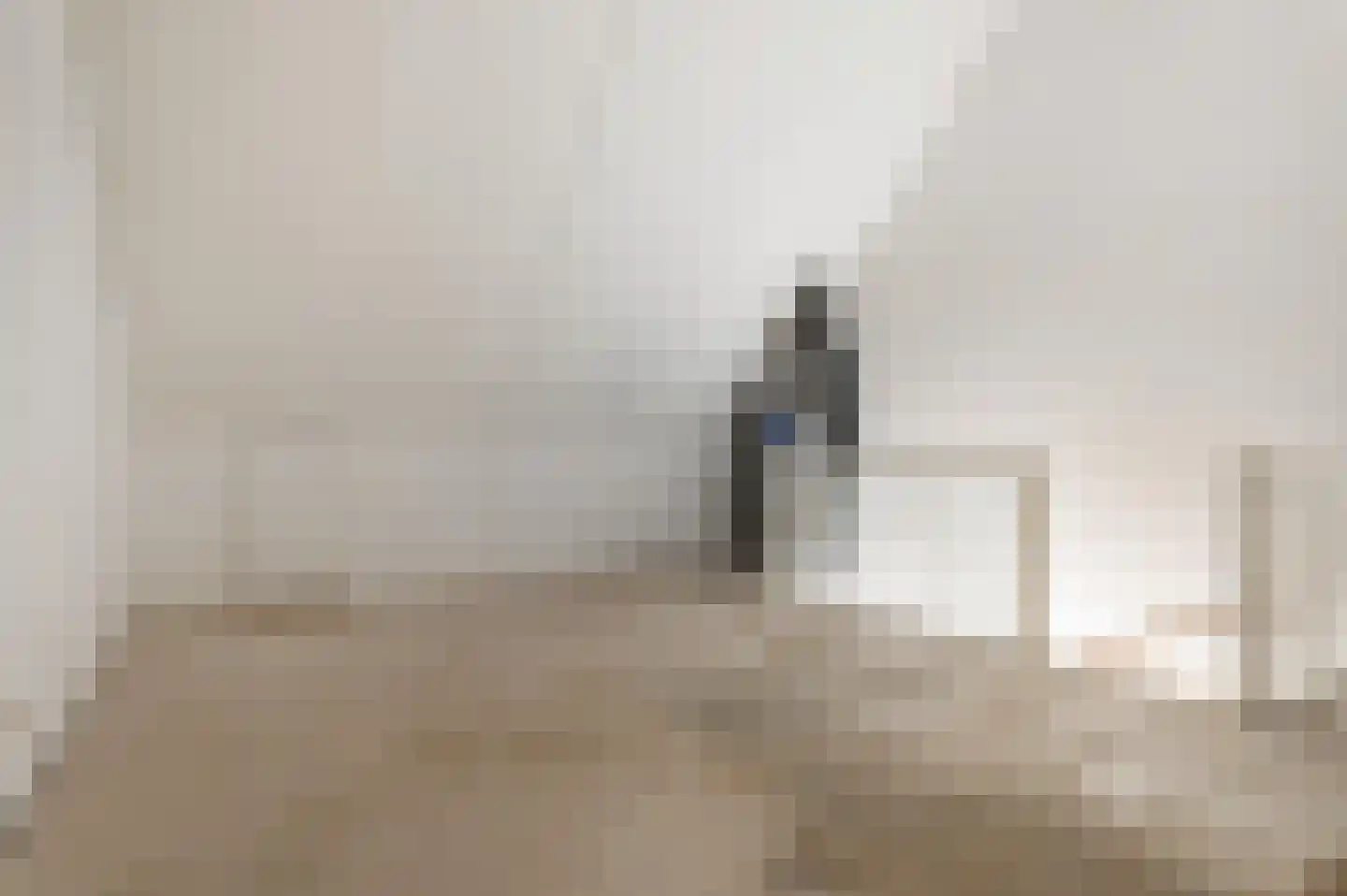 Vriesschestraat 31 Duiven thumbnail 13
