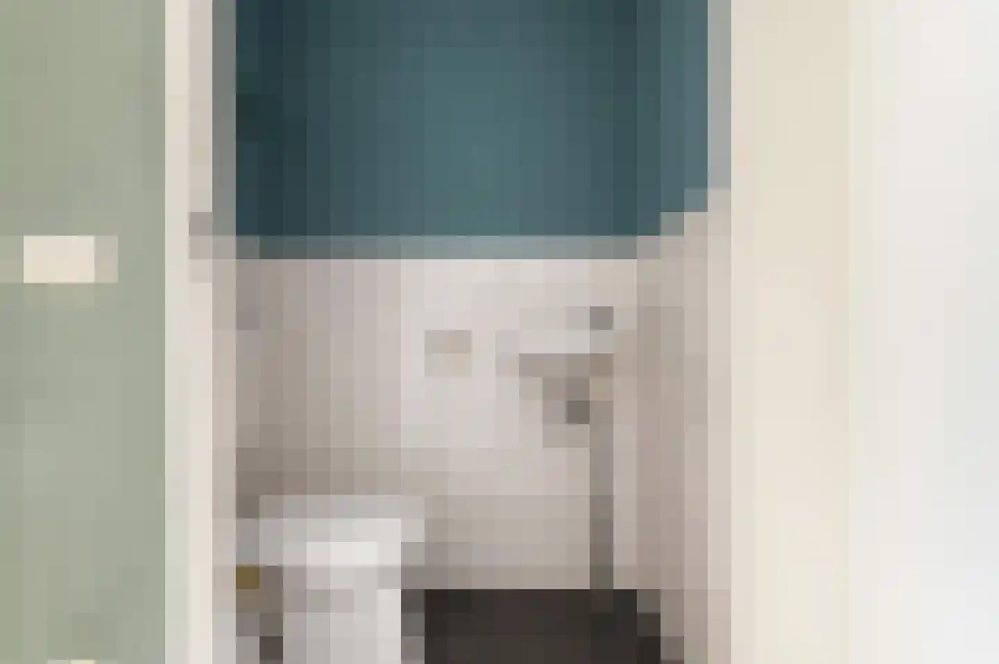 Vriesschestraat 31 Duiven thumbnail 5