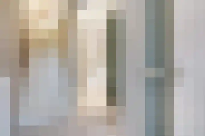 Vriesschestraat 31 Duiven thumbnail 6