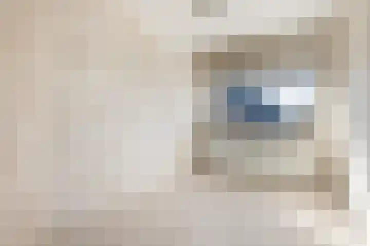 Vriesschestraat 31 Duiven thumbnail 8