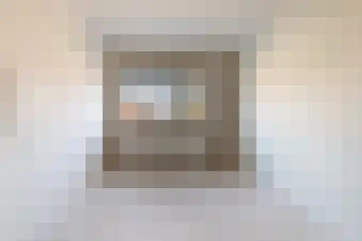 Vriesschestraat 31 Duiven thumbnail 9