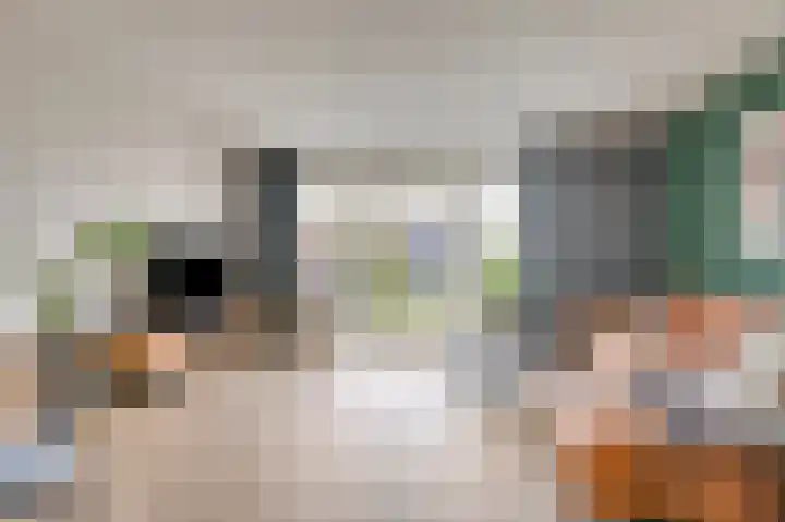 Vriesschestraat 50 Duiven thumbnail 13