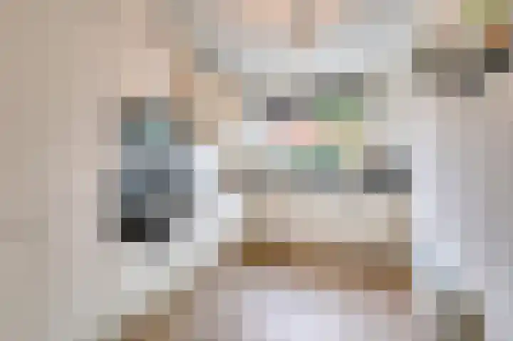 Vriesschestraat 50 Duiven thumbnail 18