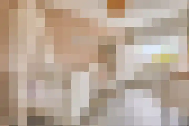 Vriesschestraat 50 Duiven thumbnail 25
