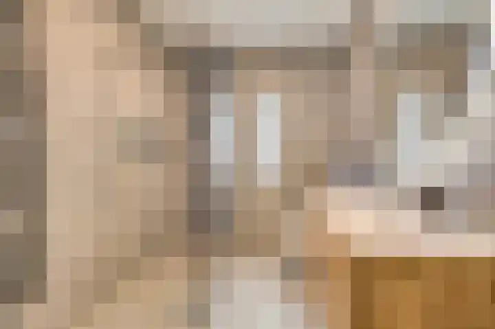 Vriesschestraat 50 Duiven thumbnail 30