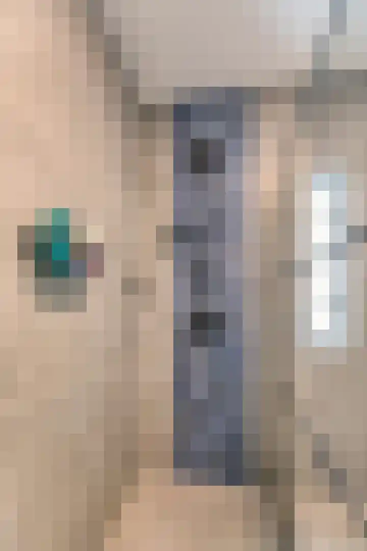 Vriesschestraat 50 Duiven thumbnail 32