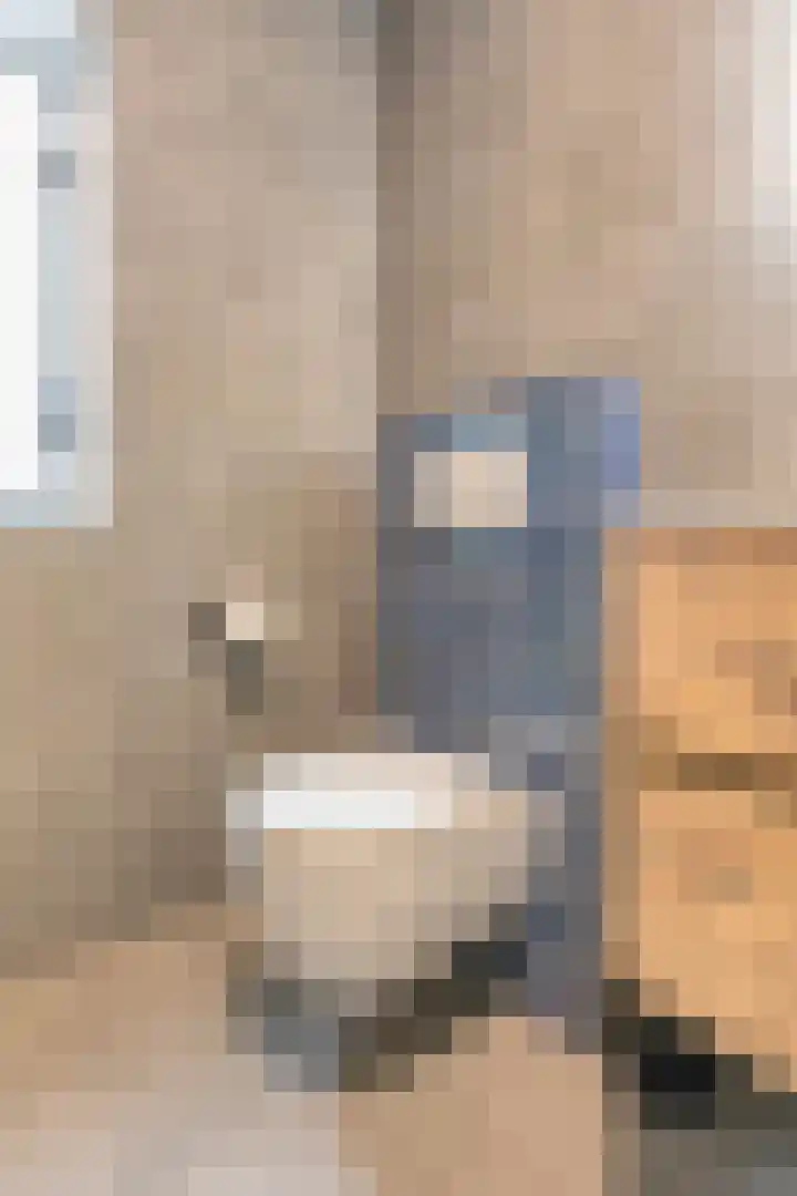 Vriesschestraat 50 Duiven thumbnail 33