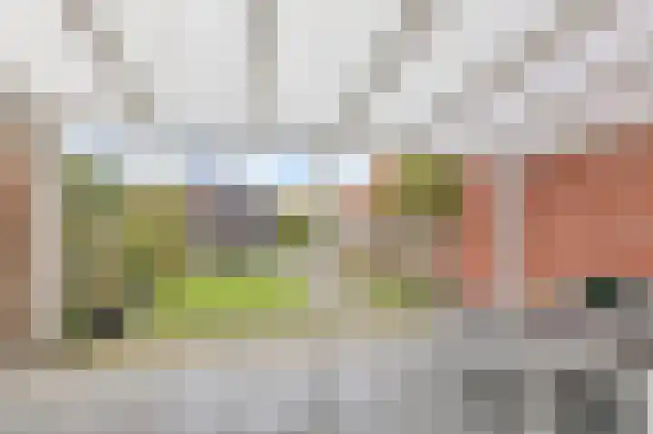 Vriesschestraat 50 Duiven thumbnail 39