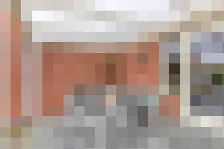 Vriesschestraat 50 Duiven thumbnail 42