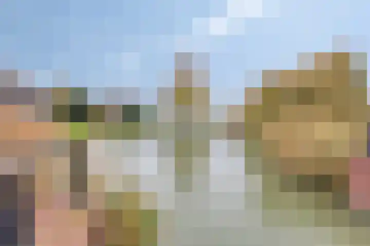 Vriesschestraat 50 Duiven thumbnail 48
