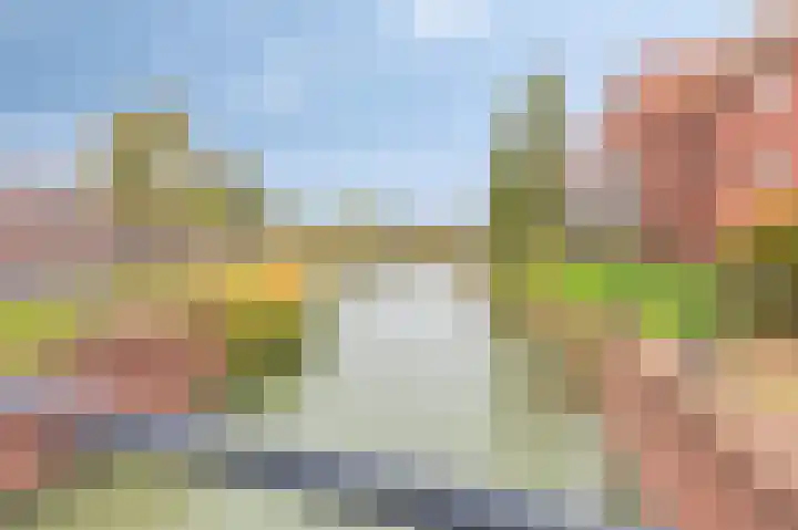 Vriesschestraat 50 Duiven thumbnail 49