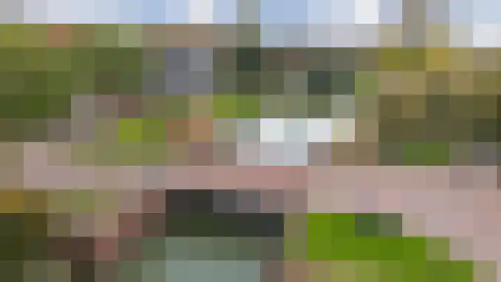 Vriesschestraat 50 Duiven thumbnail 55