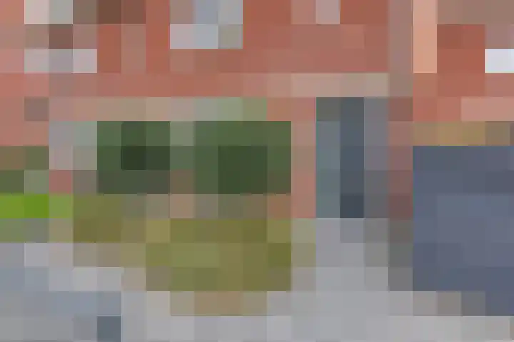 Vriesschestraat 50 Duiven thumbnail 6