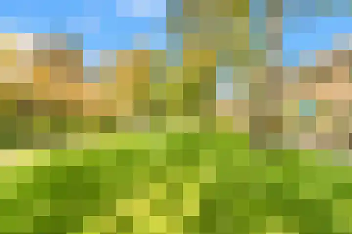 Vrieswijk 11 Heiloo thumbnail 4