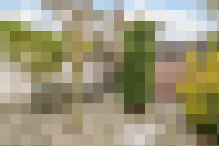 Vrieswijk 116 Heiloo thumbnail 32