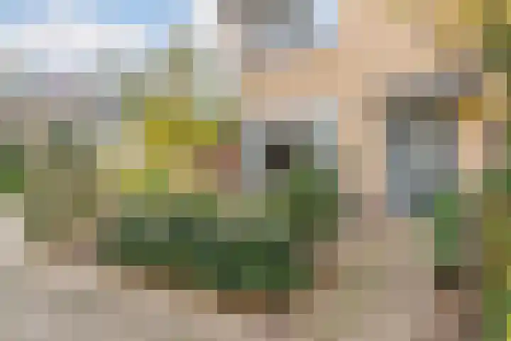 Vrieswijk 116 Heiloo thumbnail 5