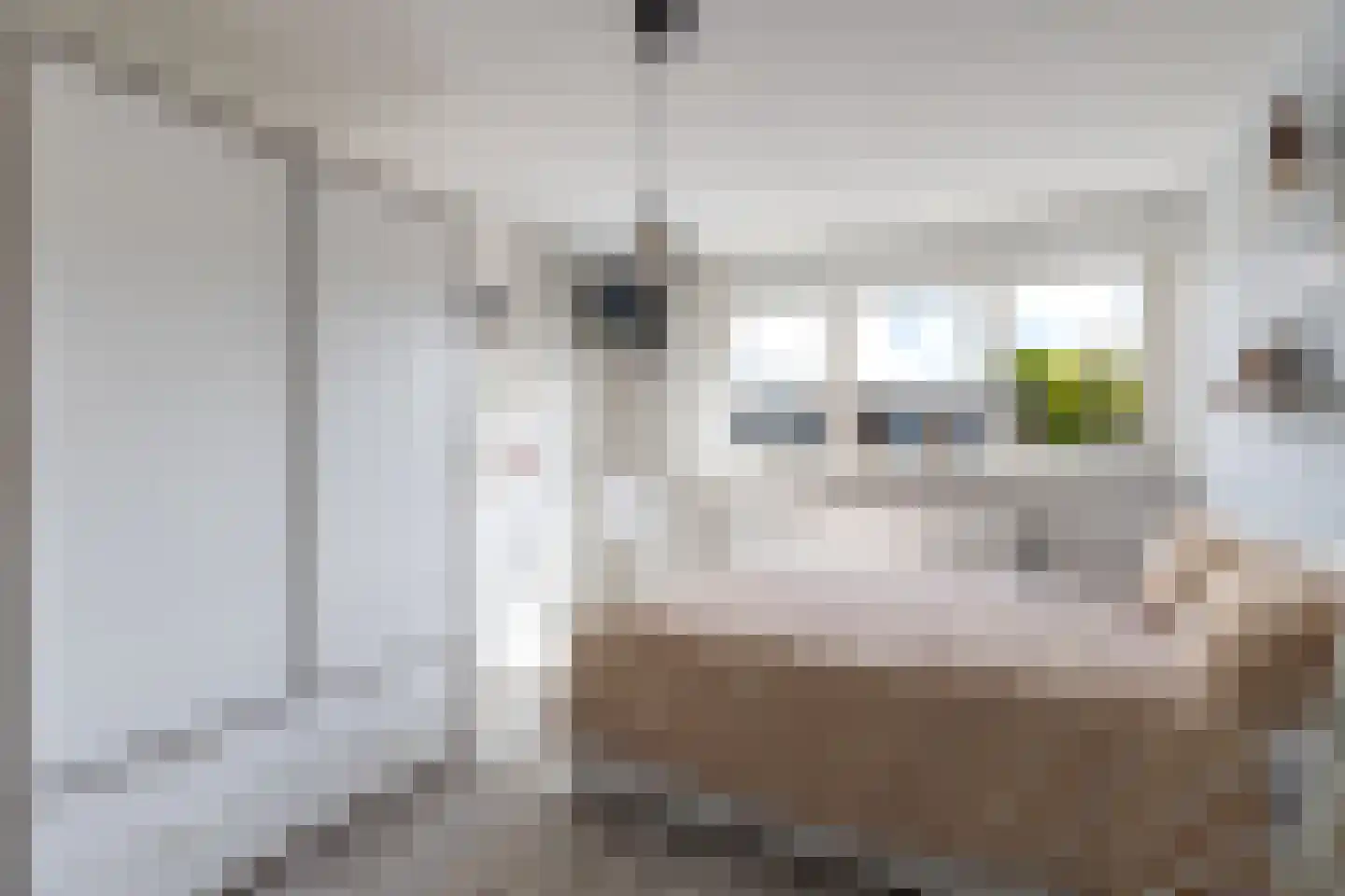 Vrieswijk 128 Heiloo thumbnail 19