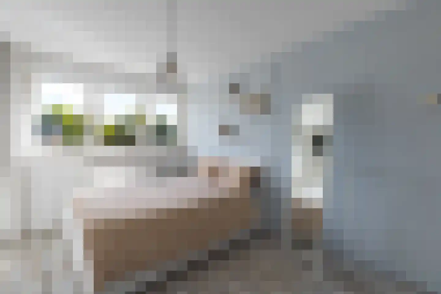 Vrieswijk 128 Heiloo thumbnail 20