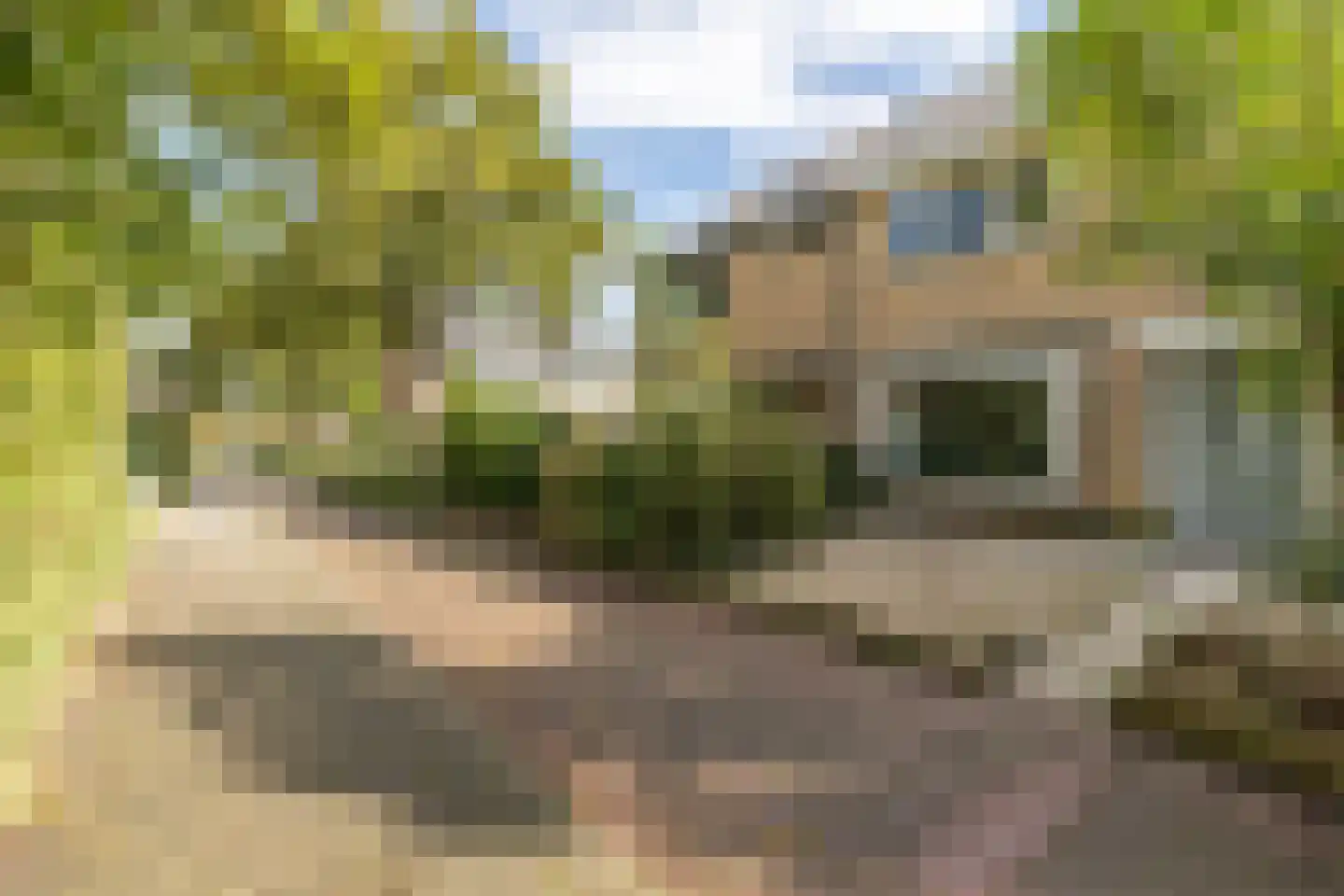 Vrieswijk 128 Heiloo thumbnail 46