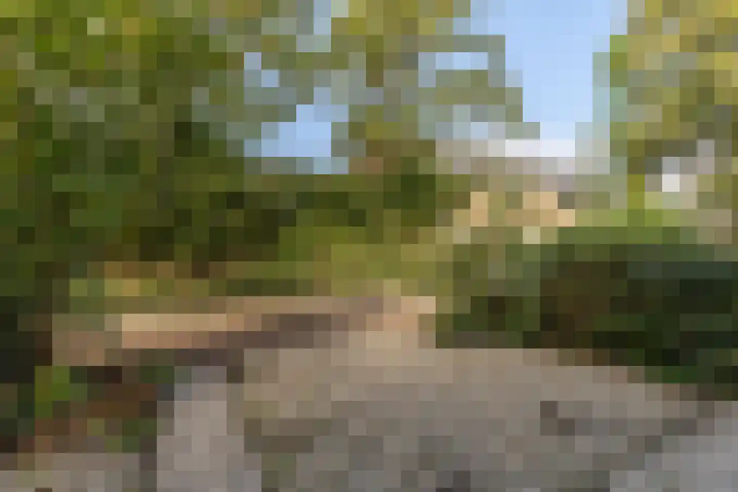 Vrieswijk 128 Heiloo thumbnail 48