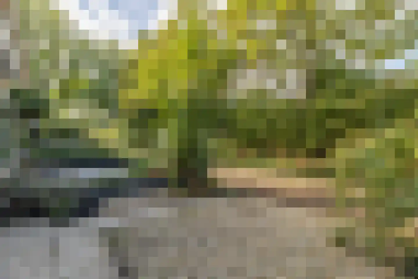 Vrieswijk 128 Heiloo thumbnail 49