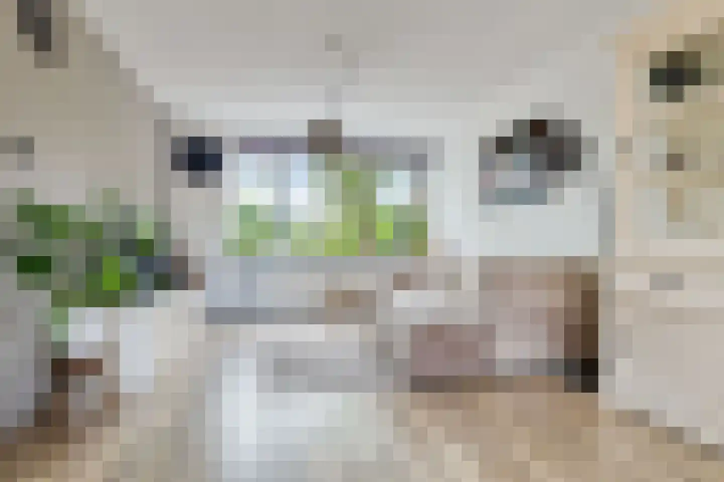 Vrieswijk 137 Heiloo thumbnail 7