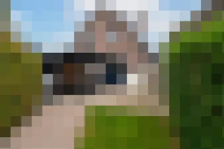 Vrieswijk 170 Heiloo thumbnail 17