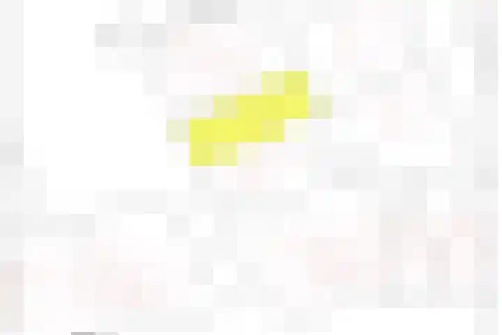 Vrieswijk 170 Heiloo thumbnail 30