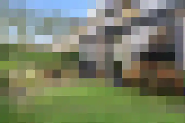Vrieswijk 20 Heiloo thumbnail 27