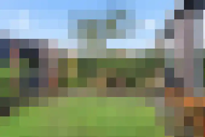 Vrieswijk 20 Heiloo thumbnail 29