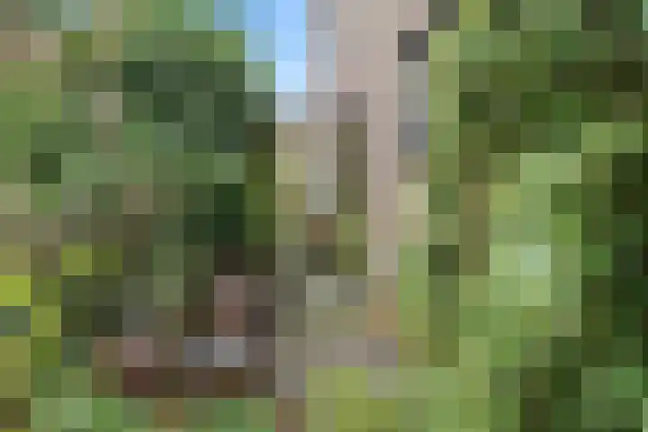 Vrieswijk 20 Heiloo thumbnail 30