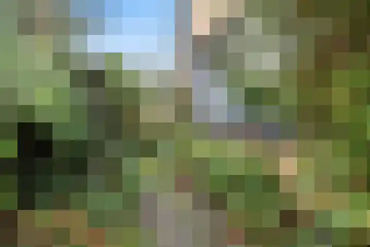 Vrieswijk 20 Heiloo thumbnail 31