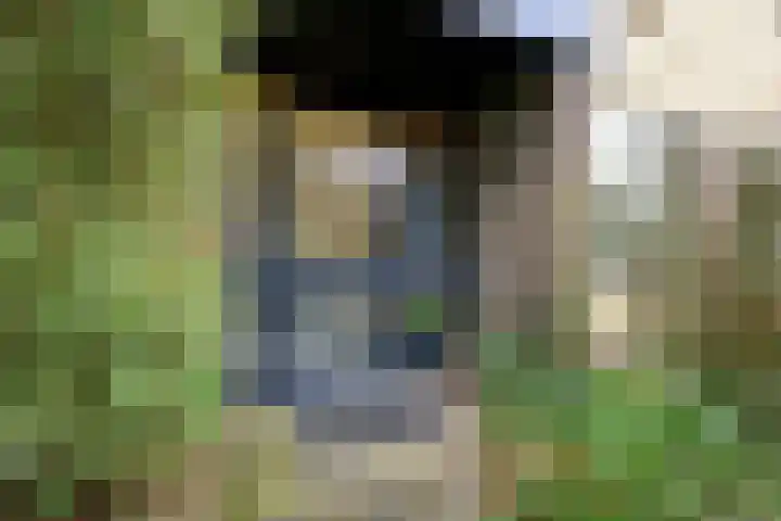 Vrieswijk 20 Heiloo thumbnail 32