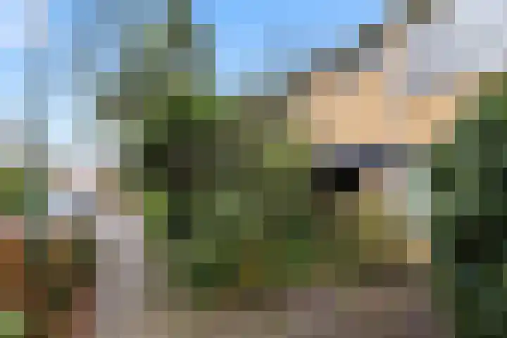 Vrieswijk 20 Heiloo thumbnail 33