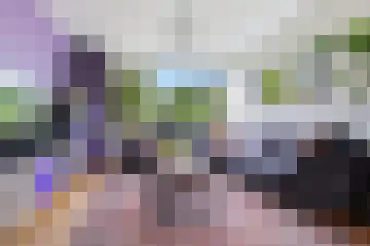 Vrieswijk 20 Heiloo thumbnail 4