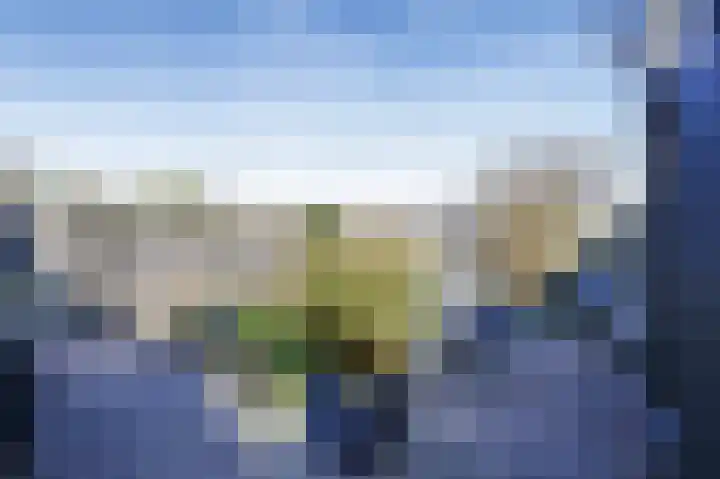 Vrieswijk 204 Heiloo thumbnail 21