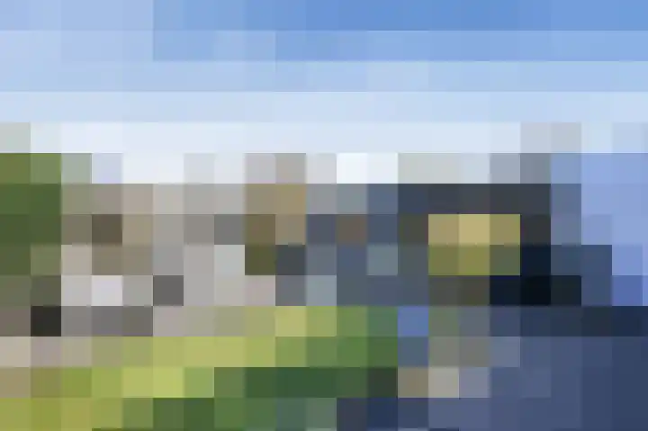 Vrieswijk 204 Heiloo thumbnail 22