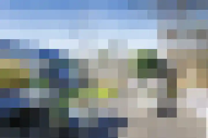Vrieswijk 204 Heiloo thumbnail 24