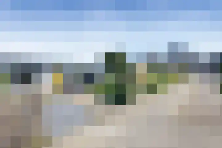 Vrieswijk 204 Heiloo thumbnail 27