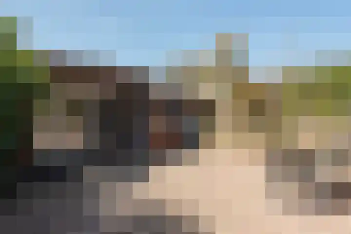 Vrieswijk 3 Heiloo thumbnail 36